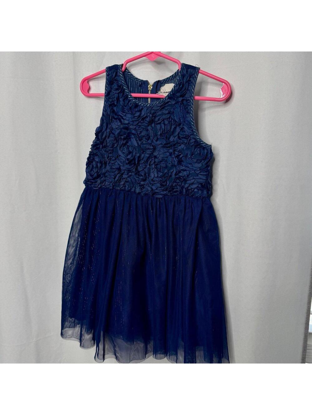 Btween blue floral Girls Dress with Lining Size 3T 100% Polyester